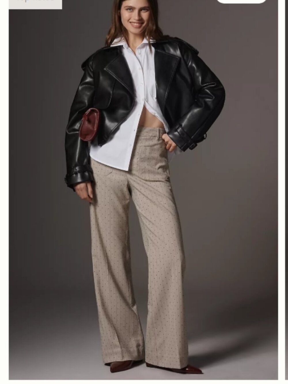 NWT Anthropologie Maeve Jude Sparkle Pinstripe Trousers